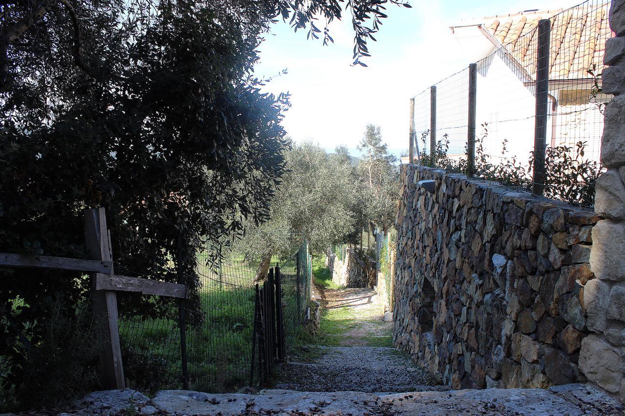 Country House Tagliaferro Marciana Marina  Esterno foto